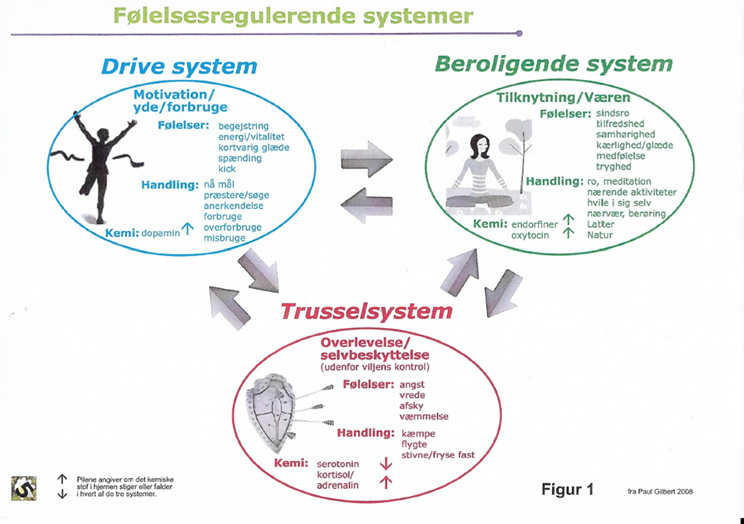 3 følelsesregulerende systemer