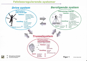 3 følelsesregulerende systemer